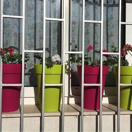 Oak House Oakplacescom * León