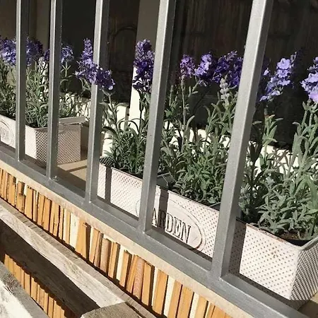 Oak House Oakplacescom León