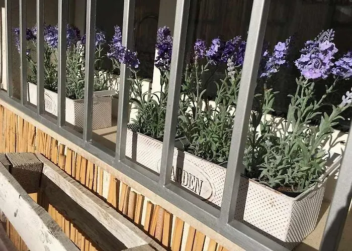 Oak House Oakplacescom Леон